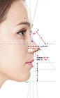 bg-nose-3