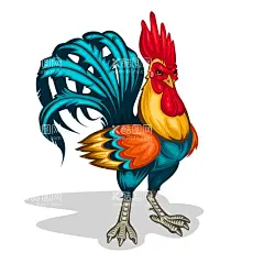 公鸡矢量图  - 源文件下载【酷图网】公鸡,鸡,鸡插画,鸡生肖,卡通鸡,矢量鸡,公鸡插画,鸡矢量图,卡通公鸡,手绘鸡,手绘公鸡,卡通公鸡矢量,