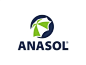 Anasol创意伞logo设计