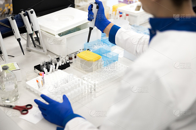 实验室技术员在工作中进行血液生化检测