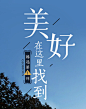 臻选