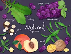 【精选】手绘彩色水果蔬菜辣椒豆香菜葱姜蒜萝卜插画PSD设计素材-淘宝网