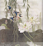 国工笔画荷花有小鸟和垂柳