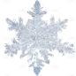 冬天冬季冬日节气写实冰晶雪花元素素材