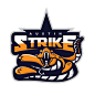 Austin Strike - Paintball Team : This is a mascot logo created for a paintball team located in Austin, TX.