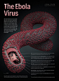 The Ebola Virus in 3D