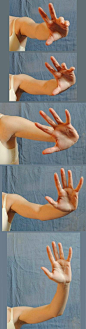 #绘画参考# 手臂绘制参考，每晚十一点更新，… - 半次元 - ACG爱好者社区