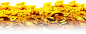 bg_gold