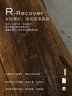 lxxjsdmn采集到版式