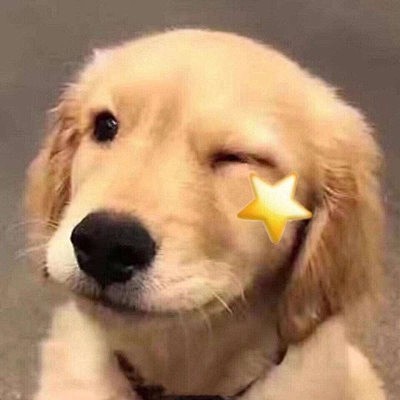 寻欢2019猫头猫猫很可爱可我喜微信头像我要个性网