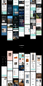 Products : Fair Mobile UI Kit is the excellent assistant for fast creation of your project. In it excellent fonts and colors, which now in a trend are picked up. Each project which will be made by means of it will be modern and convenient in use. Product 