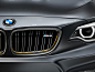 BMW M2 M Performance Parts Concept (2018) - picture 19 of 28 - Grill - image resolution: 1024x768