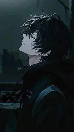 其中包括图片：