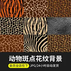斑马豹纹动物斑点花纹图案纹理邀请卡背景包装贴图PS设计素材海报