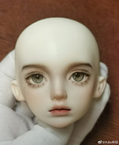 一明初一采集到BJD