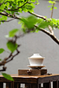Beautiful Chinese gong-fu surrounded by nature: 