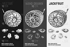 菠萝蜜,符号,动物手,菜单,灰色,食品,维生素,果汁,熟的,绘制