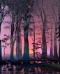 ScarceAbundance_MysteryIsSoulFood.jpg