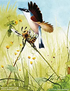 国外优秀平面作品欣赏集锦#采集大赛##创意##平面设计#