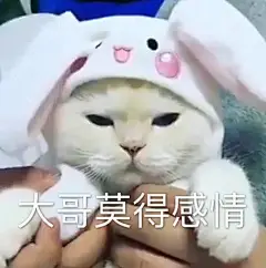 别拉我 我要去赚钱 #沙雕表情包# ​​​​