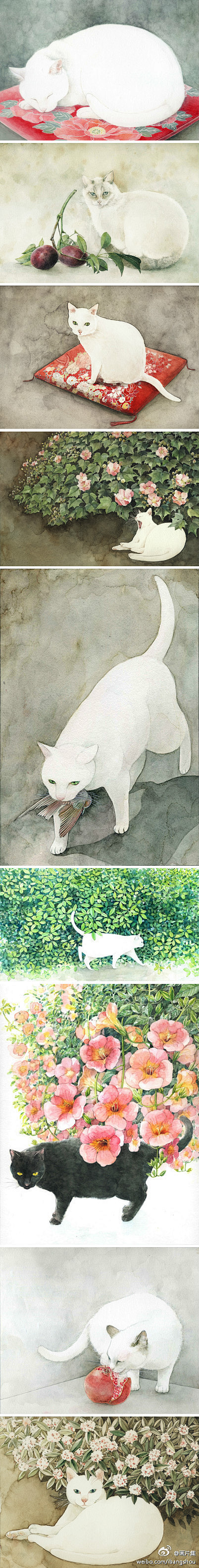 猫画儿。山田绿东京插画师。她的插画非常细...