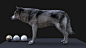 Gray wolf, Aritz Basauri : This is the latest personal project I´ve been working on. Main main goal was to achieve a character as realistic as possible. Nice project to keep on improving my anatomy and grooming skills  Also exploring and understanding bet