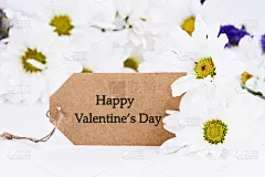 雏菊,情人节卡,贺卡,水平画幅,无人,浪漫,特写,仅一朵花,自然美,花束