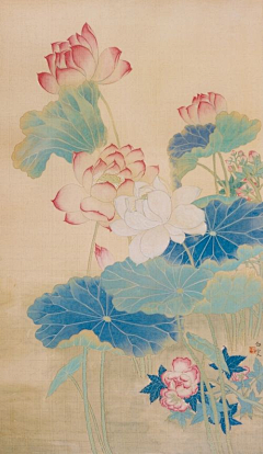 静心静神采集到画