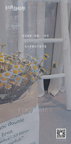 小龙数码设计采集到文案排版|字体