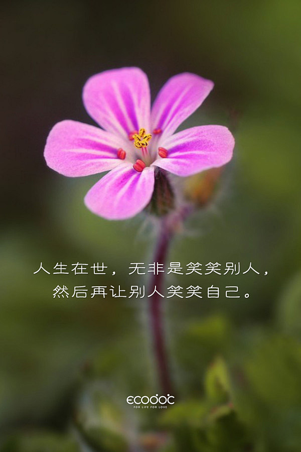 真正的内心强大就是活在自己的世界里而不是活在别人的眼中和嘴上人生