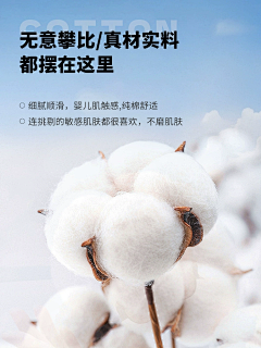 TUTU小不点采集到FZ-副图
