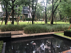 TENNYHOO采集到上海中建张江