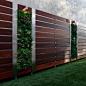 modern fence w. vertical succulent garden (although maybe a succulent substitute in my garden)