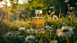 ls7623_A_bottle_of_perfume_placed_on_the_grass_surrounded_by_wi_762039e3-8cc9-49d0-bc96-ca8f32e3d815