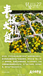 @四川发布 的个人主页 - 微博