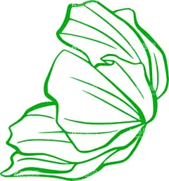 花形状  - 源文件下载【酷图网】花,鲜花,花卉,手绘花卉,手绘花卉框架,线条花,角花,花纹,玫瑰花,太阳花,花苞,花骨朵,花型,花心,花形状,线条画,素描花,花朵