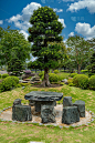 日本花园与紫杉树盆景和石头桌椅