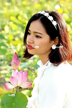 花 莲花 女孩 越南女人 亚洲人 自然 美丽的花朵 花壁纸 亚洲