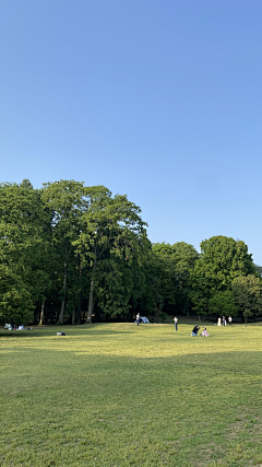 淡~~定~~采集到背景