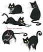 references-cats35.jpg (500×600)