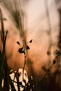 SUMMER - SUN, LIGHT AND THE DARK on Behance