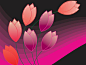 Tulip, flower, vector drawing