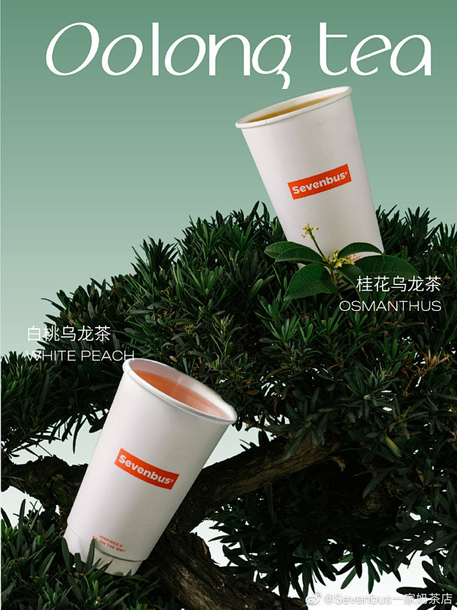 ◉◉【微信公众号：xinwei-1991...