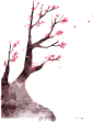 花枝素材