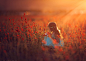 Enchanted Childhood by Lisa Holloway on 500px