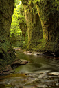 finnich格伦，苏格兰
Finnich Glen, Scotland