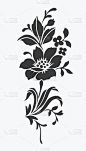 花孤立在白色，花图案设计。