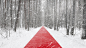 艺术家 Gregory Orekhov 最近在莫斯科的 Malecvich 公园完成了他的最新作品《Nowhere》。由聚丙烯制成的红地毯绵延 250 米，横跨白雪皑皑的森林。四周环绕着广阔的自然景观，地毯仿佛画在白色画布上的一条无尽的线。 ​​​​