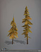 World of Warcraft: Dragonflight - The Azure Span Tall Pine Trees