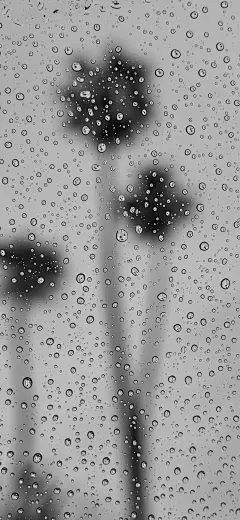 手机壁纸 背景图